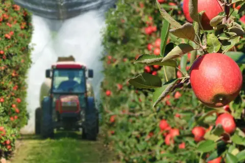 Fundusz ochrony rolnictwa – kiedy zaczyna działać i jakie ma cele?
