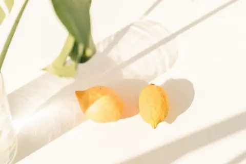 Cuándo se planta un limonero: evita errores comunes y crece sano