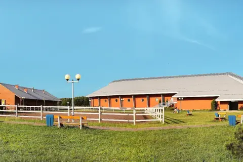 Najlepsze stadniny koni w Jaworznie - sprawdź, gdzie jeździć bez obaw