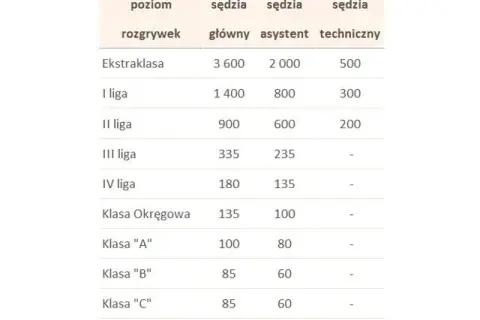 Ile zarabia sędzia piłkarski UEFA? Zaskakujące wynagrodzenia i czynniki wpływające na pensję