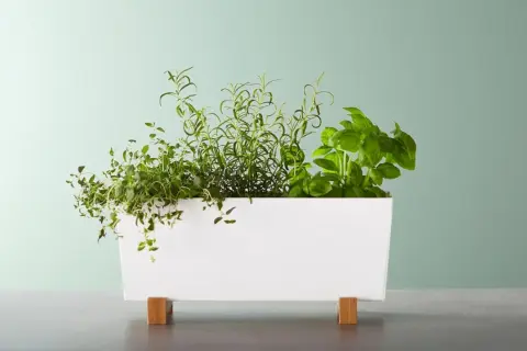 Macetas decorativas que transformarán tu hogar y jardín con estilo