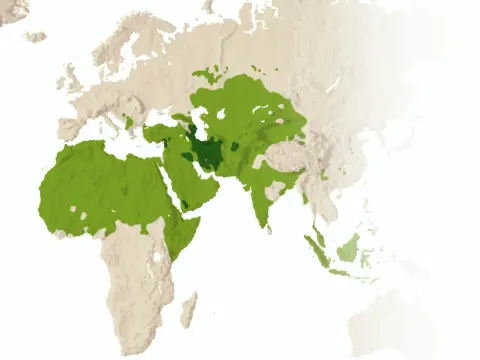 Sunna (Sunnah) i islam - Vad betyder det egentligen?