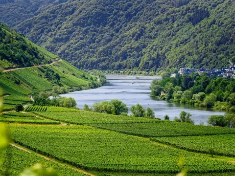 Camping und Wandern in Deutschland - so planst du die passende Tour