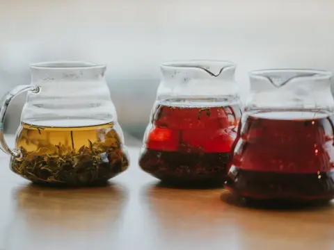 Yaupon - napar między kawą a herbatą? Jak go parzyć?