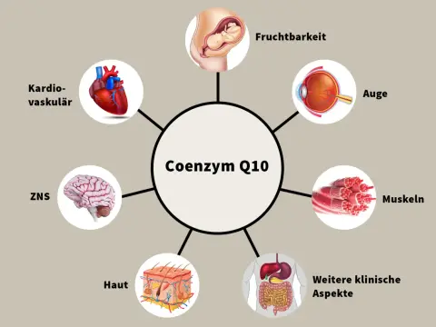 Coenzym-Q10-Mangel - woran Sie ihn erkennen und was hilft