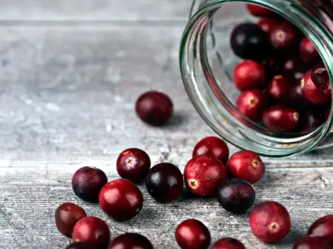 Cranberries in der Schwangerschaft - Was ist sicher?