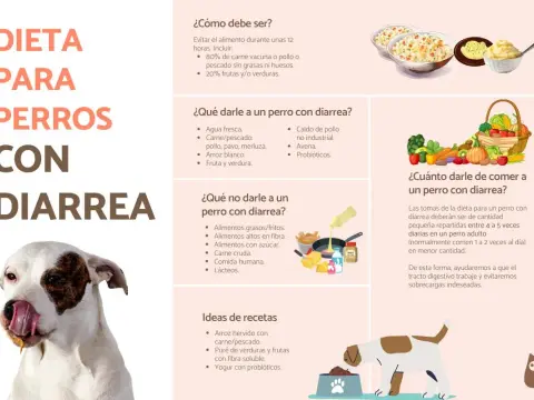Manzana para la diarrea en perros - ¿Ayuda o empeora?