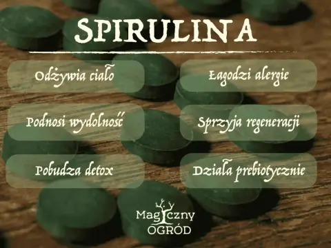 Spirulina - co to jest i kiedy warto po nią sięgnąć?
