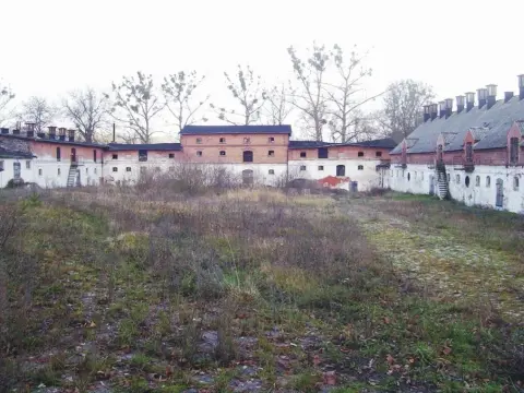 Mniszki skansen: Odkryj znikające rzemiosła i regionalną historię