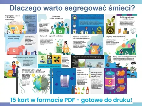 Segregacja odpadów – Co wrzucać, by nie popełniać błędów?