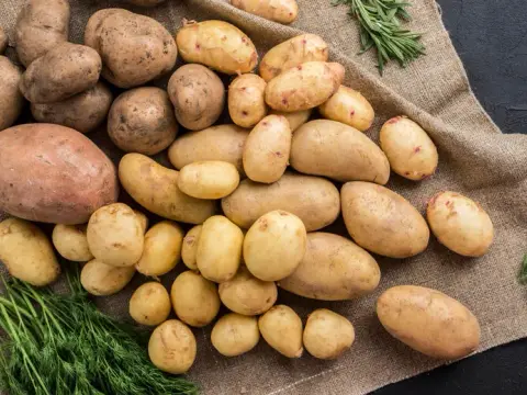 Jaką odmianę ziemniaka na frytki wybrać, aby były idealne?