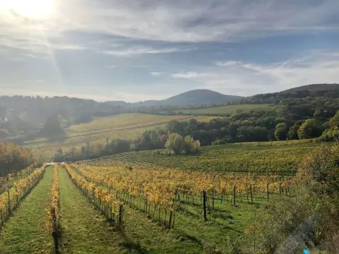 Domaine des Entrefaux - Comprendre Crozes-Hermitage
