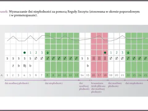 Dni płodne w menopauzie? Czy ciąża po 40. jest możliwa?