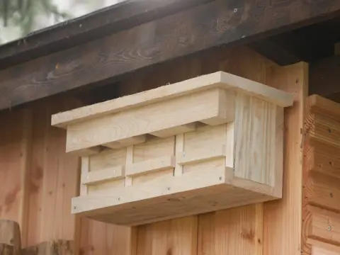 Nistkasten selber bauen - so passt er zu Meisen und Sperlingen