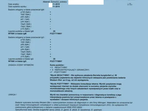 Badania na boreliozę po kleszczu: Kiedy i jakie, by wynik był pewny?
