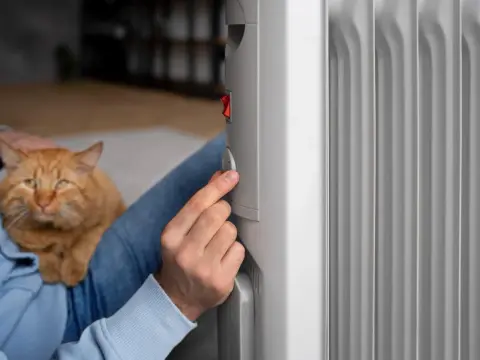 Emisor térmico o radiador de aceite, cuál conviene para tu casa