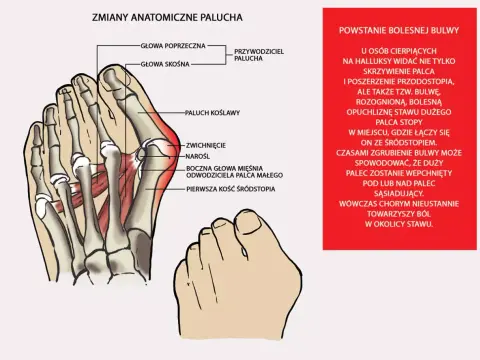 Duży palec u stopy: funkcje, problemy i jak o niego dbać