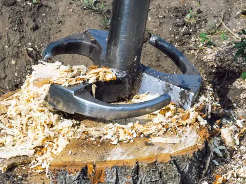 Stubbenfräse - So entfernst du Baumstümpfe richtig