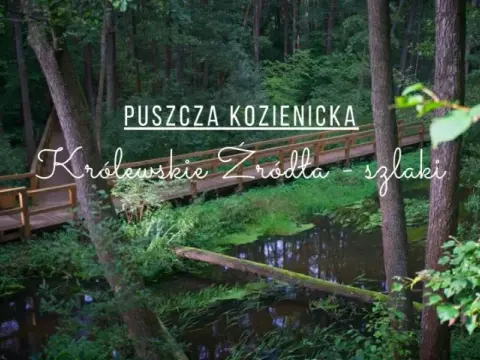 Odkryj atrakcje w okolicach Warszawy: Co warto zobaczyć w pobliżu stolicy