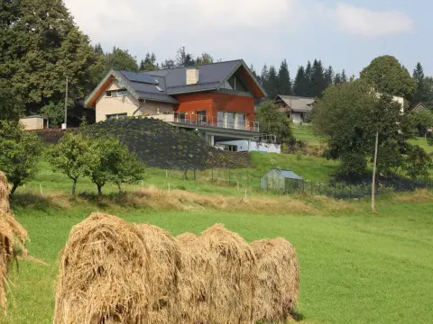 Zabudowa zagrodowa - Kto buduje i jakie warunki trzeba spełnić?