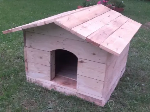 Jak zrobić budę dla psa z palet? Poradnik DIY krok po kroku