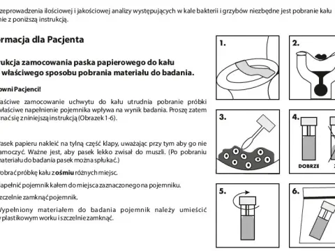 Jak zostać dawcą kału? Proces krok po kroku