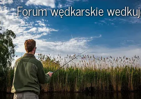 Przynęty Osmo opinie: Czy naprawdę są skuteczne w wędkarstwie?