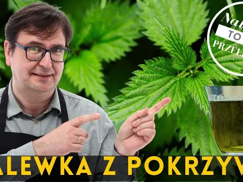 Jak zrobić nalewkę z pokrzywy - prosty przepis na zdrowy napój