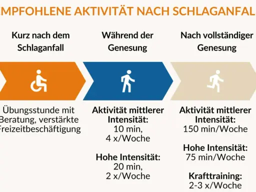 Empfohlene Aktivitäten nach Schlaganfall: Anfangs Übungen, dann schrittweise Steigerung der Intensität für das Schlaganfall Hand Training.