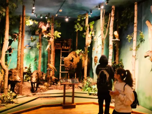 Muzeum Łowiectwa i Jeździectwa: Łazienki Wystawy, bilety, dojazd