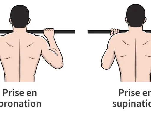 Comparaison de la prise en pronation et supination pour un exercice de traction. La pronation traction sollicite différemment les muscles du dos.