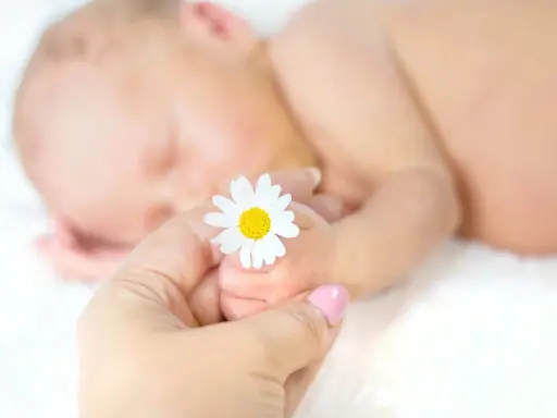 Un neonato dorme serenamente, mentre una mano adulta tiene delicatamente un fiore di camomilla, simbolo di dolcezza e cura per bambini.