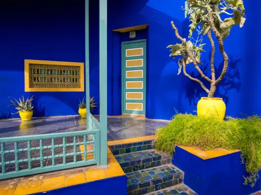 Un jardin aux murs bleu klein et bleu majorelle, avec une porte jaune et verte, des plantes luxuriantes et des carreaux colorés.