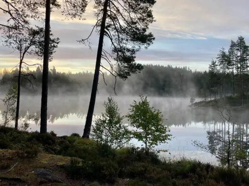 Tidig morgon vid en sjö i Glaskogen, dimma sveper över vattnet. En perfekt plats för glaskogen vandring.