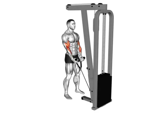 Mann macht Hammer Curls am Kabelzug, um seine Bizeps zu trainieren.