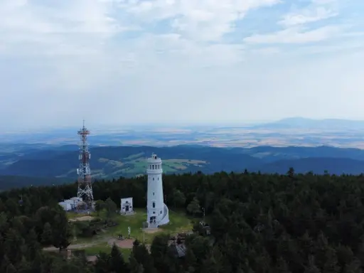 Widok z góry na wieżę widokową i maszt telekomunikacyjny pośród lasu. Którym szlakiem dotarła tu wielka sowa?