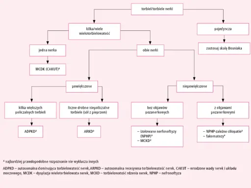 Schemat diagnostyczny torbieli nerek. Rozróżnia torbiele pojedyncze i mnogie, powiększone i niepowiększone, z objawami lub bez, prowadząc do rozpoznania np. torbielowatości nerek.