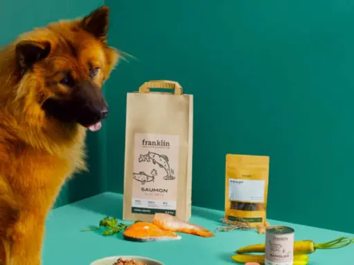 Un chien regarde des produits Franklin, dont un sac de saumon. Avis vétérinaire positif pour Franklin pet food.