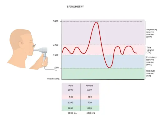 Grafika pokazuje badanie spirometrii z wykresem objętości płuc i tabelą spirometria normy.
