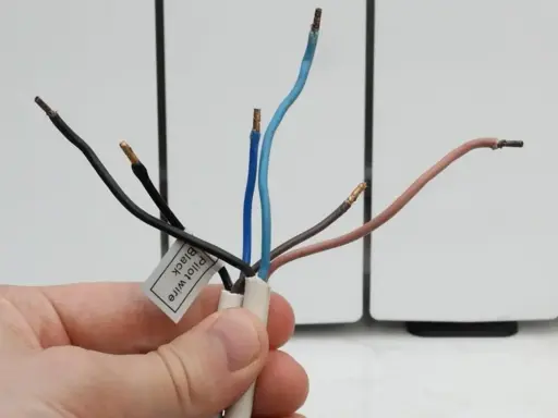 Main d'une personne tenant des fils dénudés d'un radiateur électrique. Une étiquette indique "Pilot wire Black".