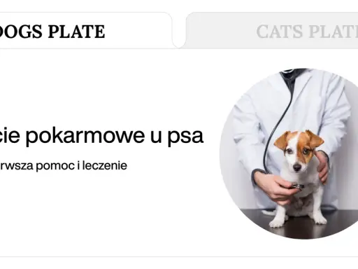 Weterynarz bada psa z objawami zatrucia pokarmowego. Szybka reakcja może zapobiec temu, po czym pies zdechnie.