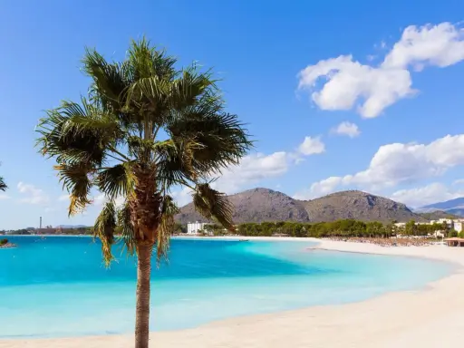 Traumhafter Blick auf den Can Picafort Strand mit Palmen, türkisblauem Wasser und Bergen im Hintergrund. Ein perfekter Urlaubstag.