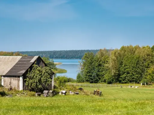 Działka siedliskowa nad jeziorem, z drewnianą stodołą, zieloną łąką i lasem w tle.