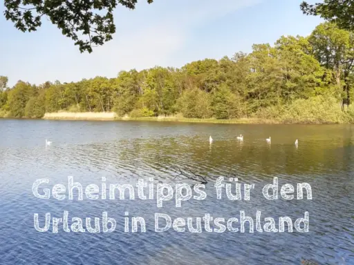 Idyllischer See mit Bäumen und Schwänen. Ein Geheimtipp für den Kurztrip Deutschland.
