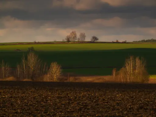 Zachód słońca nad polami, tworzący malownicze plany fotograficzne. Drzewa na tle zielonych pól i ciemnego nieba.