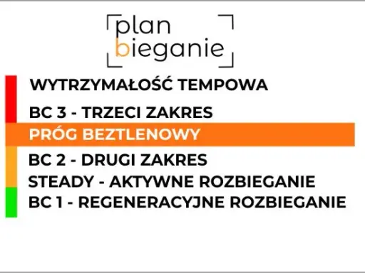 Tętno w bieganiu: Strefy, HRmax spalaj tłuszcz i zwiększaj formę!