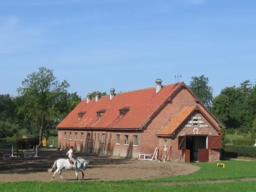 Stadniny koni w Polsce: Gdzie historia spotyka jeździecką pasję?