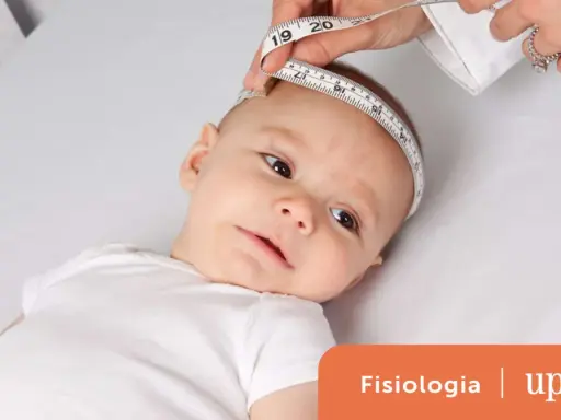 Misurazione della circonferenza cranica di un neonato, utile per la tabella crescita neonato prematuro.