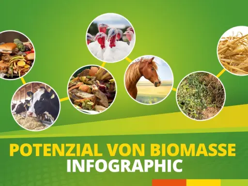 Biomasse Beispiele: Kühe, Pferde, Truthähne, Essensreste, Pflanzen und Stroh zeigen das Potenzial von Biomasse.