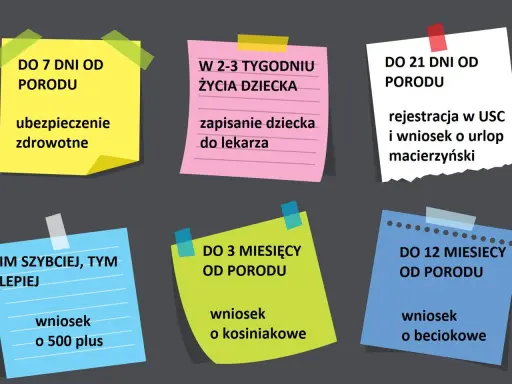 Terminy na załatwienie formalności po porodzie: ubezpieczenie, rejestracja dziecka, wniosek o urlop macierzyński, 500+, becikowe i kosiniakowe.